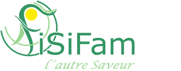 logo fisifam